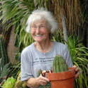 ISI Schick Echinopsis 'For Norma'